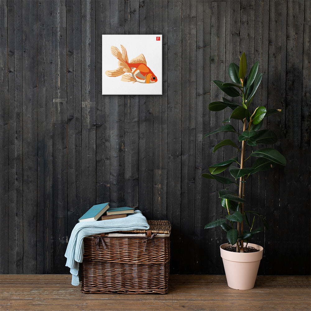 Canvas (16" X 16") Goldfish white background