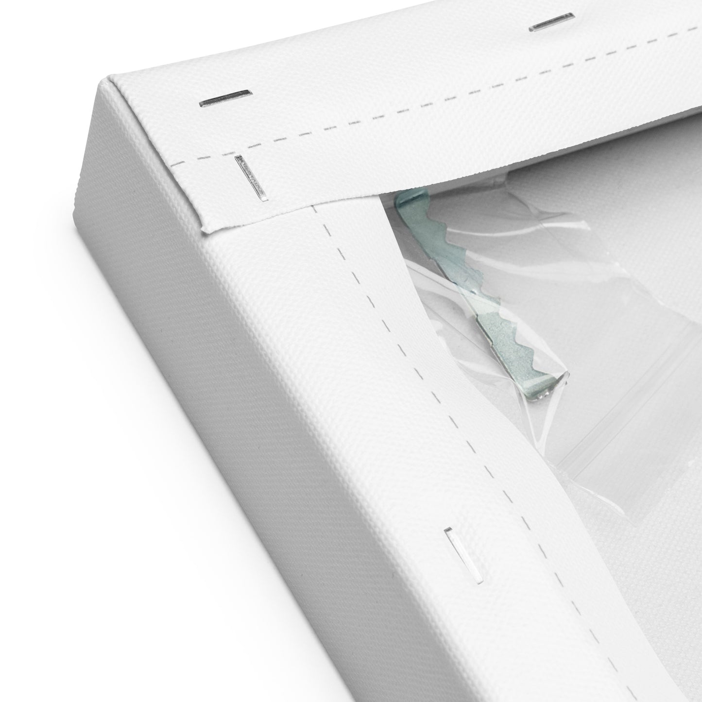 Canvas (16" X 16") Zebra Blue Eye