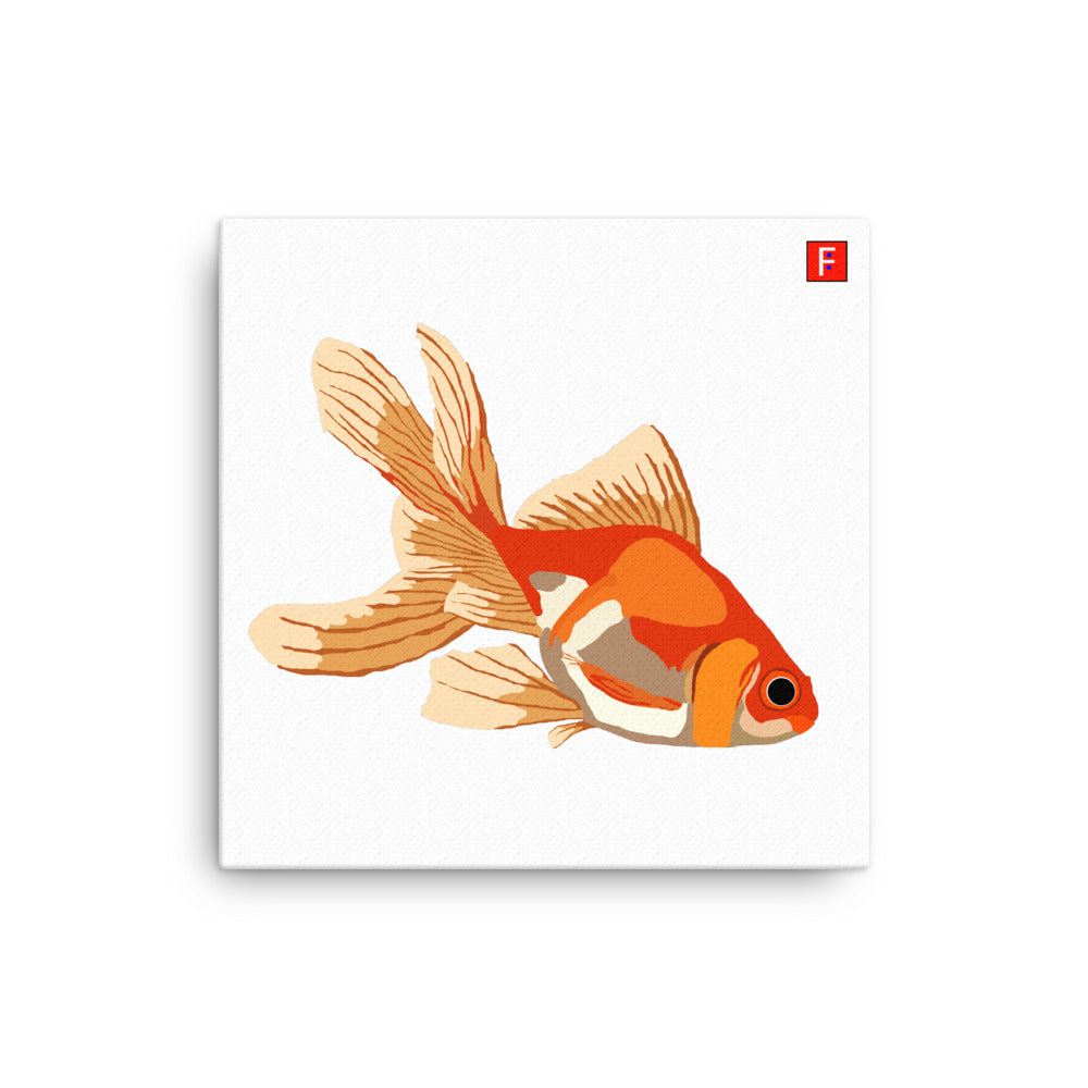 Canvas (16" X 16") Goldfish white background