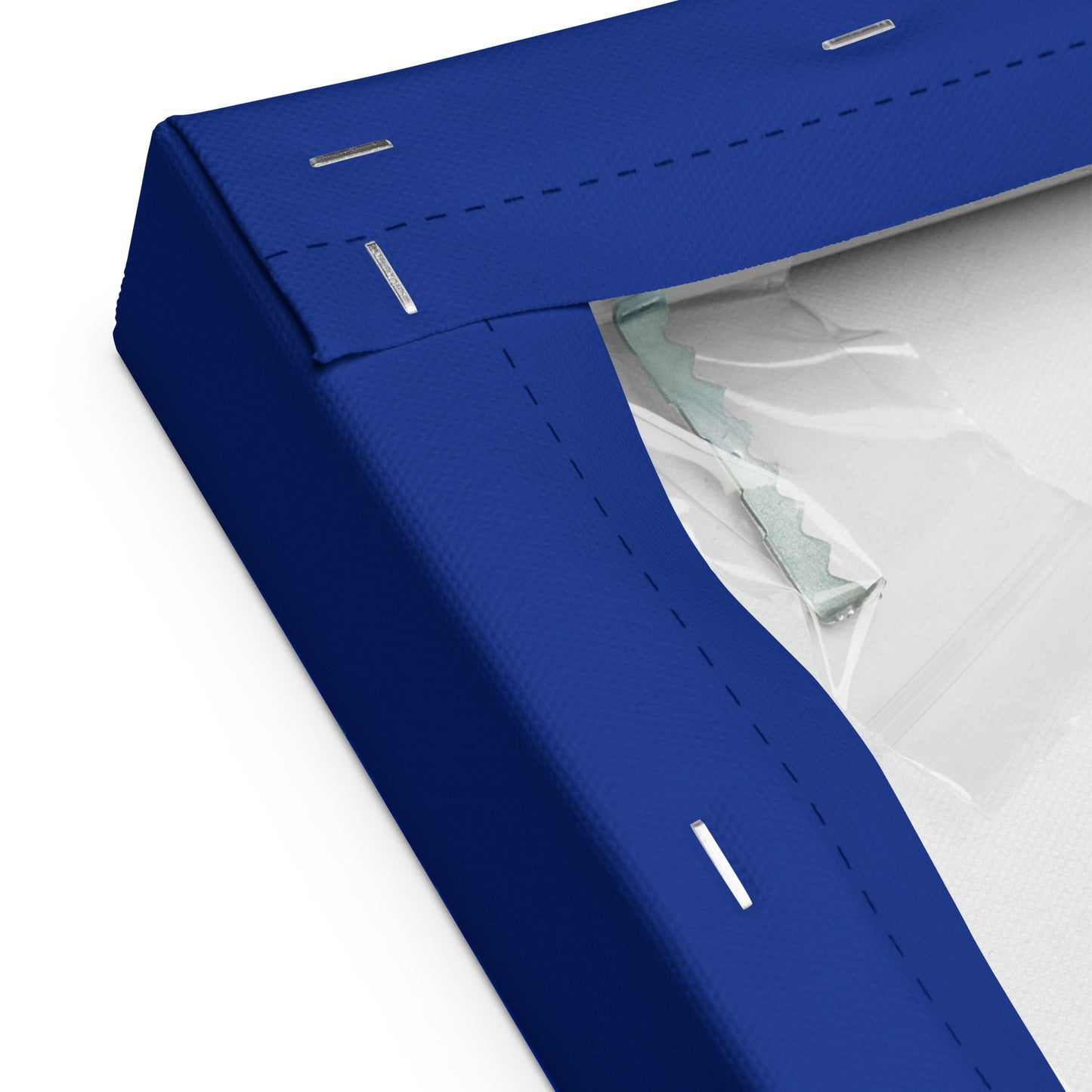 canvas (24" x 36") Zebras