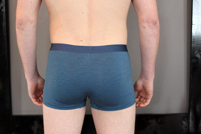 Underwear BLUE (Single fish original artwork)