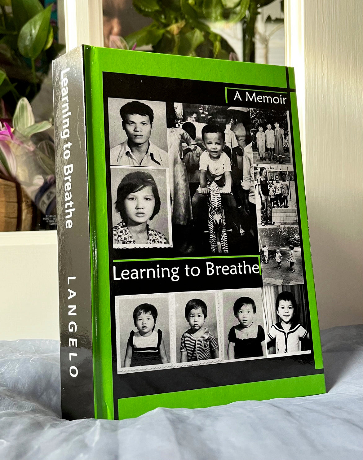 Learning to Breathe: A Memoir