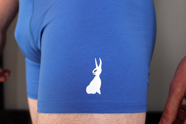 Underwear BLUE (Single Rabbit Original Artwork)